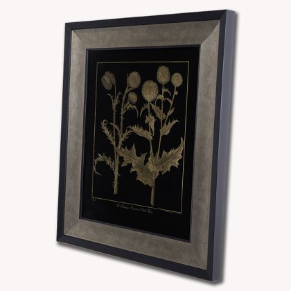 Nodding Thistle Framed Picture Nodding Thistle Framed Picture
