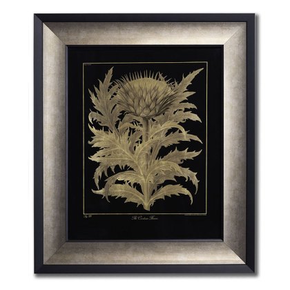Cardoon Framed Picture Cardoon Framed Picture