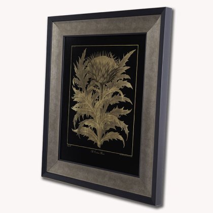 Cardoon Framed Picture Cardoon Framed Picture