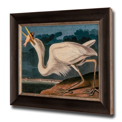 Great White Heron Framed Picture Great White Heron Framed Picture