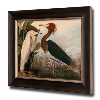 Purple Heron Framed Picture Purple Heron Framed Picture