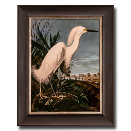 Snowy Heron Framed Picture Snowy Heron Framed Picture