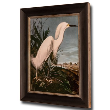 Snowy Heron Framed Picture Snowy Heron Framed Picture