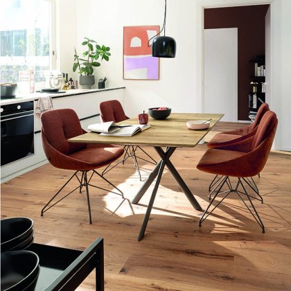 Venjakob Klein & Fein Collection