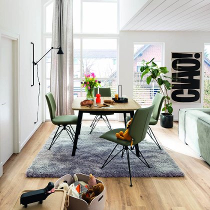 Venjakob Klein & Fein Collection