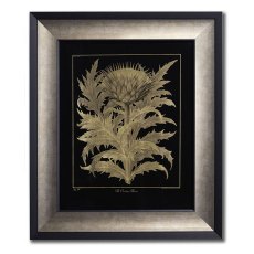 Cardoon Framed Picture
