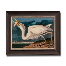 Great White Heron Framed Picture