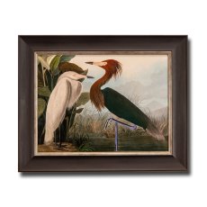 Purple Heron Framed Picture
