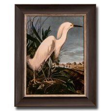 Snowy Heron Framed Picture