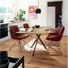 Venjakob Klein & Fein Collection