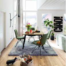 Venjakob Klein & Fein Collection