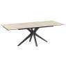 ceramic dining table