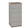 Panache 5 Drawer Tall Narrow Chest